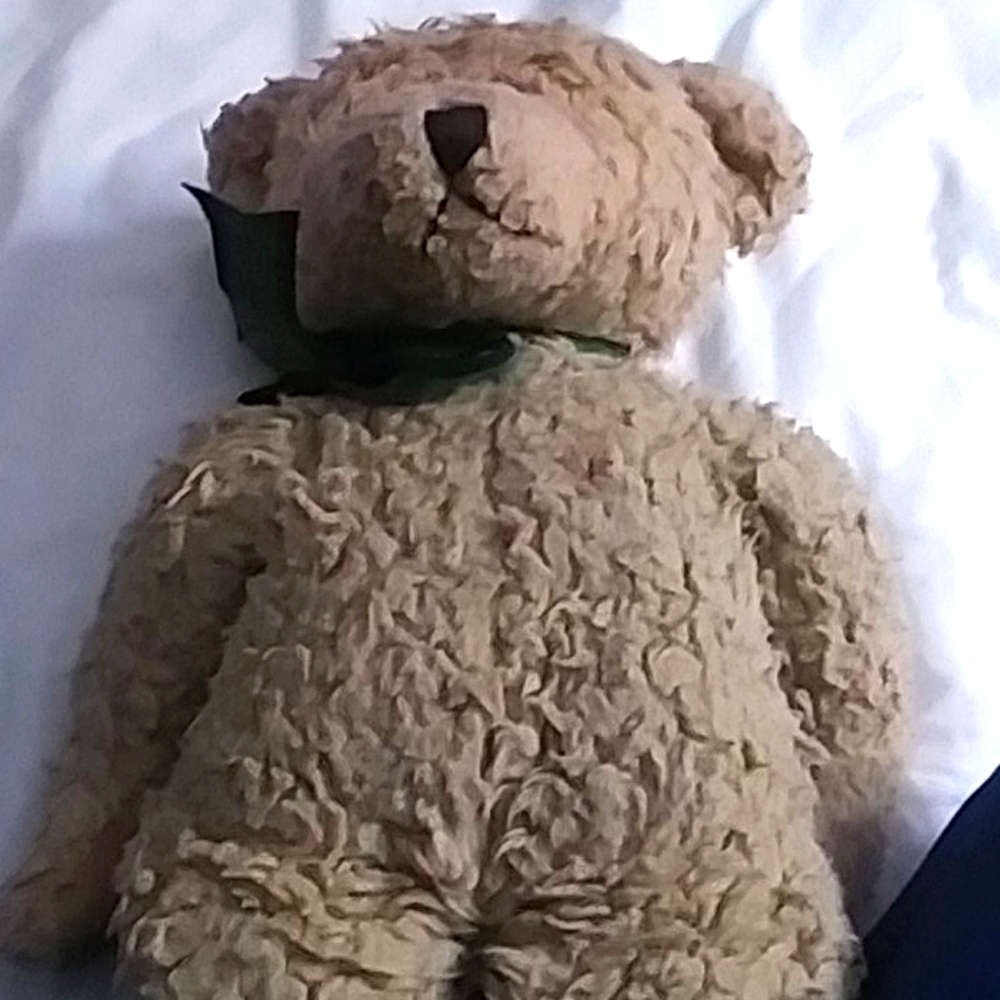 Old teddy